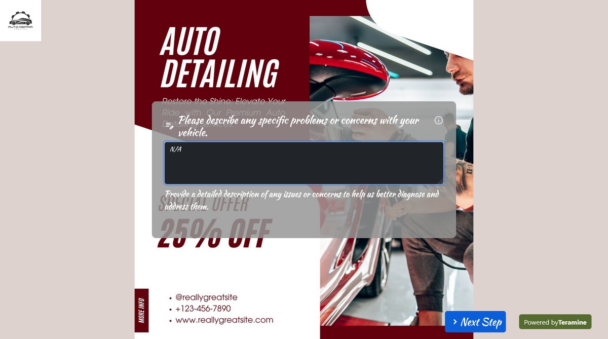 Screenshot of Please describe any specific problems or concerns with your vehicle.