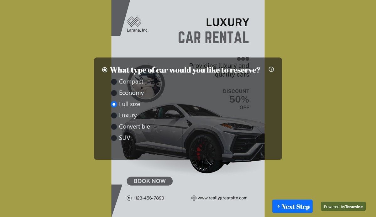 Screenshot of What type of car would you like to reserve?