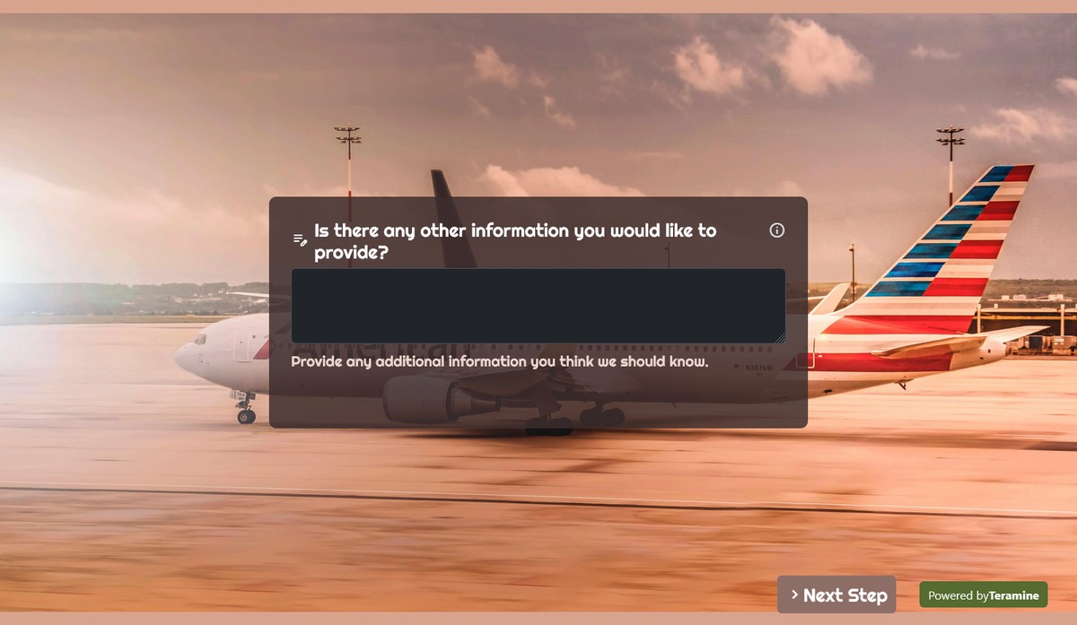 Screenshot of Is there any other information you would like to provide?
