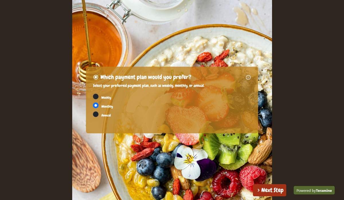 Screenshot of Which payment plan would you prefer?