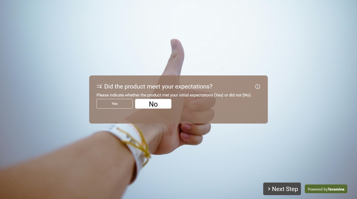 Screenshot of Did the product meet your expectations?