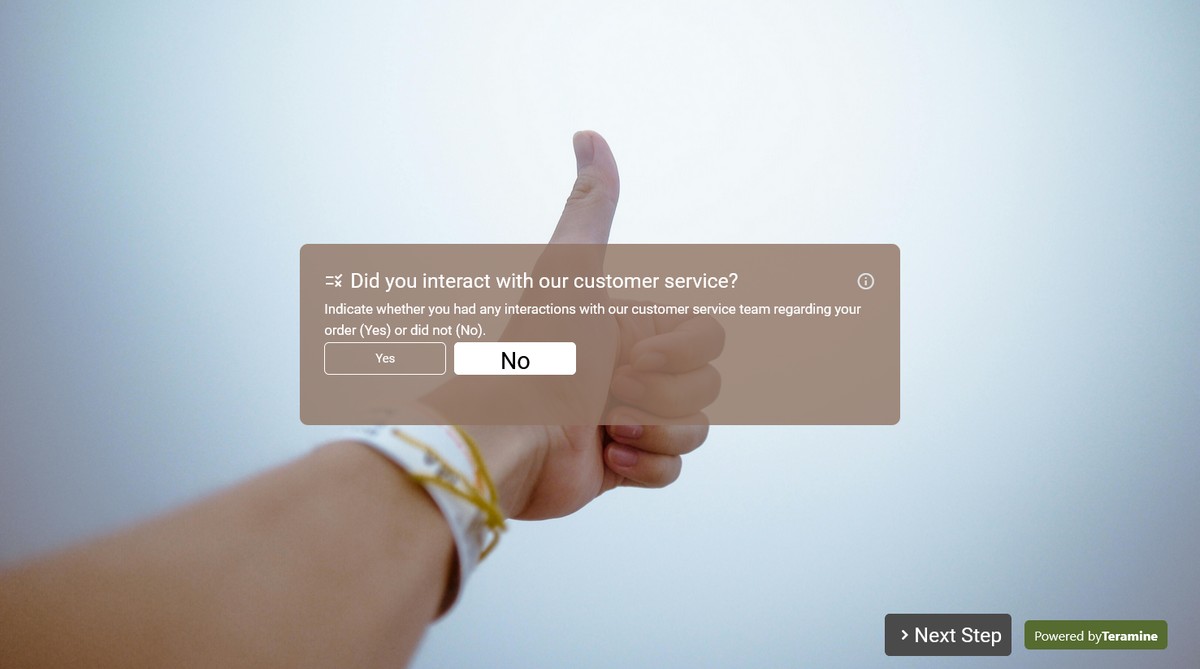 Screenshot of Did you interact with our customer service?