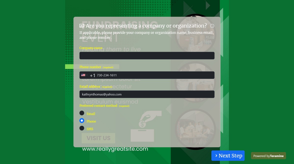 Screenshot of Are you representing a company or organization?