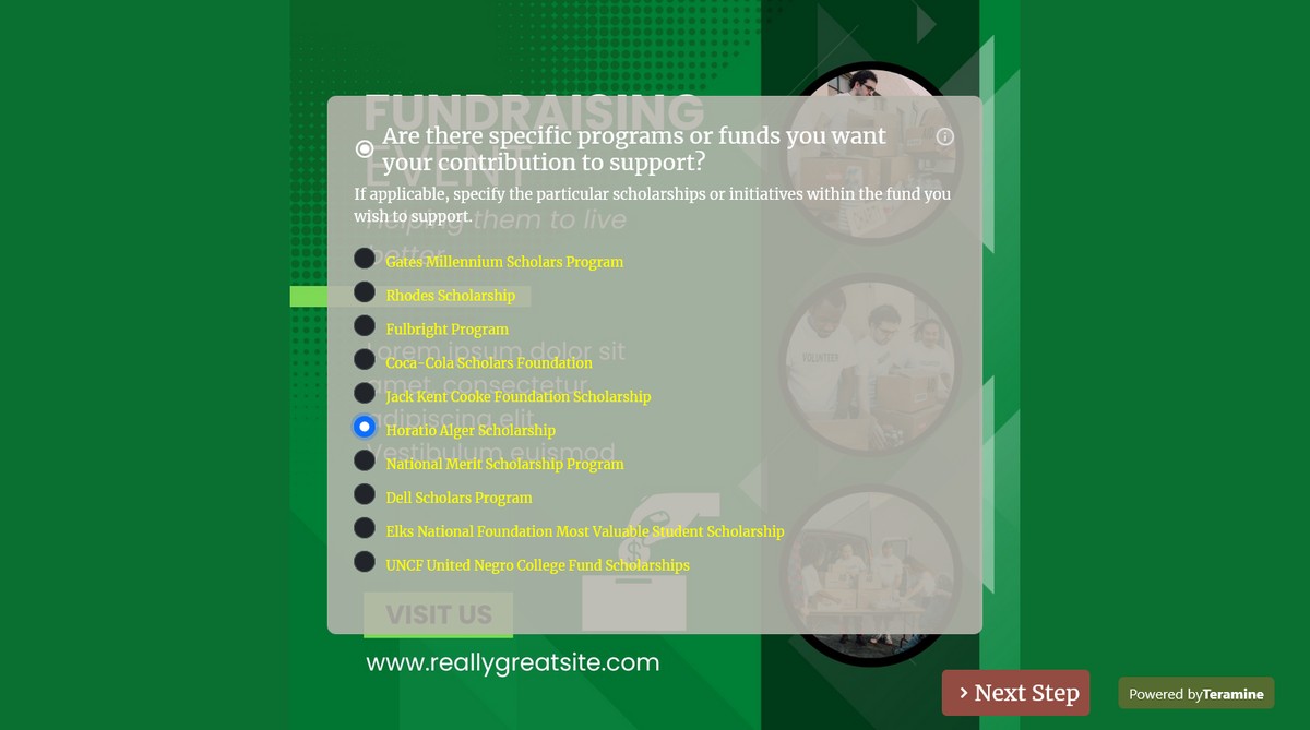 Screenshot of Are there specific programs or funds you want your contribution to support?