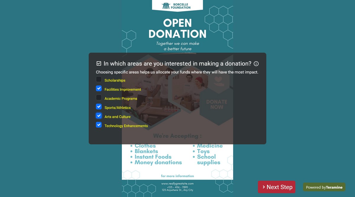 Screenshot of In which areas are you interested in making a donation?