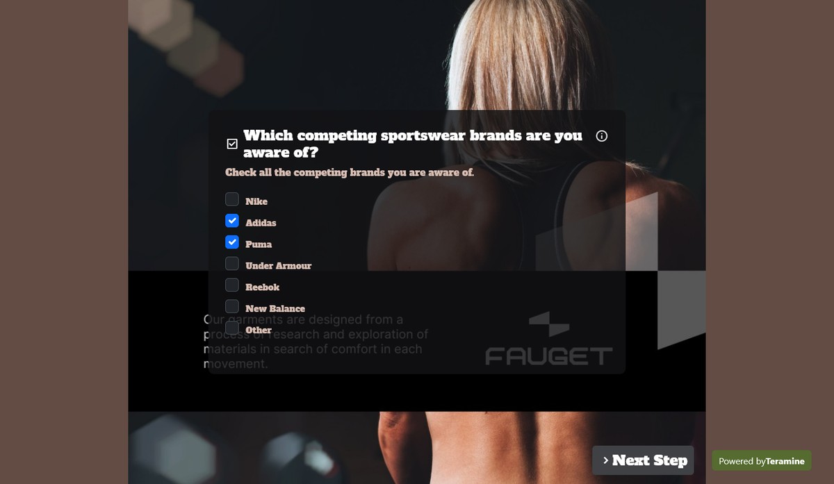 Screenshot of Which competing sportswear brands are you aware of?